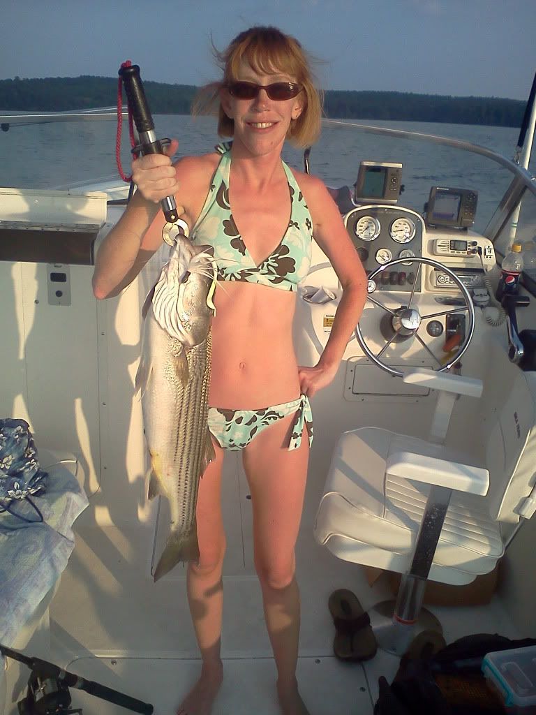 Jordan Lake Striper Fishing 71011 NC Angler Forums